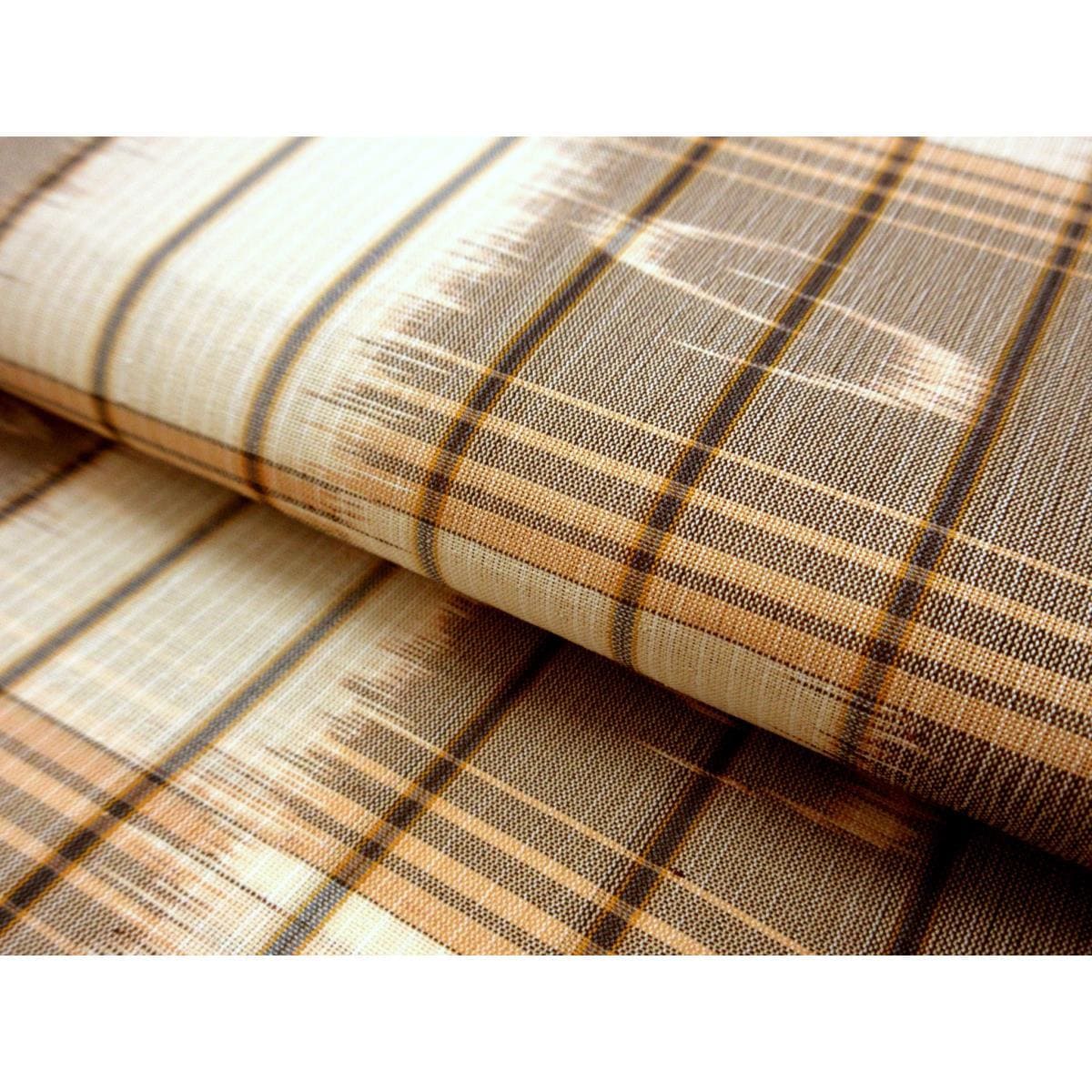 単衣　証紙付【琉球絣】