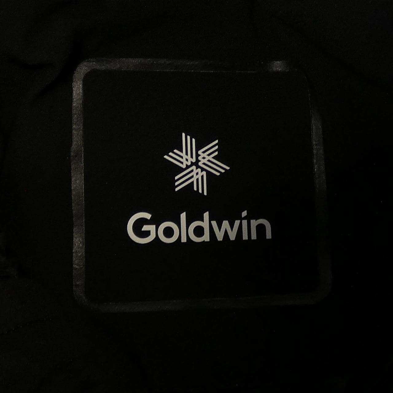 Goldwin GO11833P ダウンジャケット