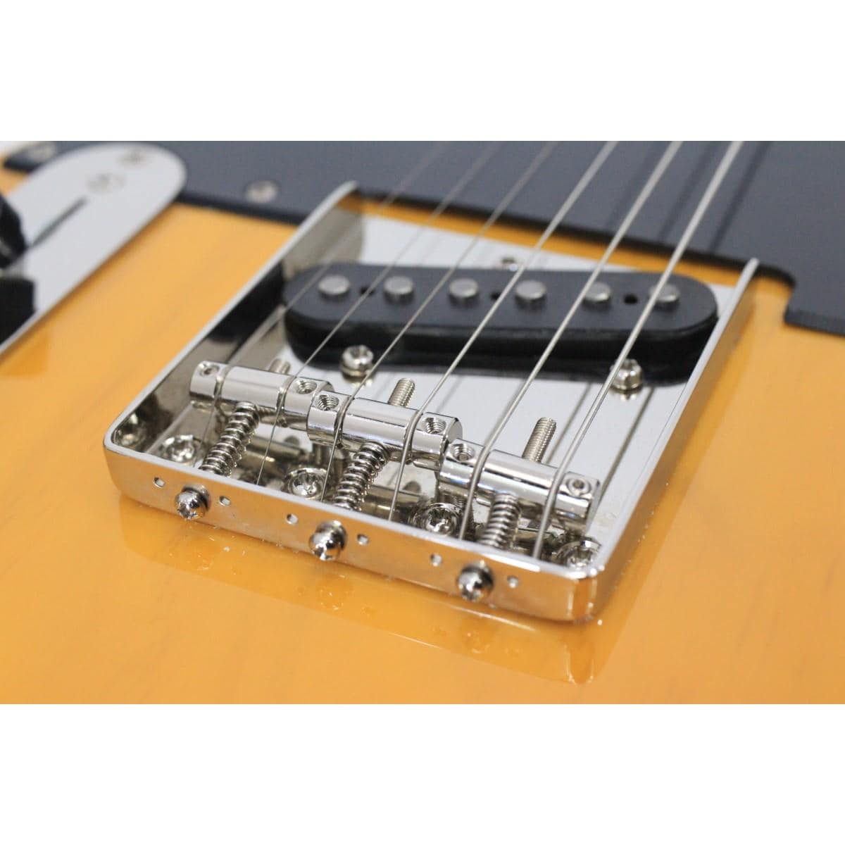 ＳＱＵＩＥＲ　　ＣＬＡＳＳＩＣ　ＶＩＢＥ　５０Ｓ　ＴＬ／ＬＨ