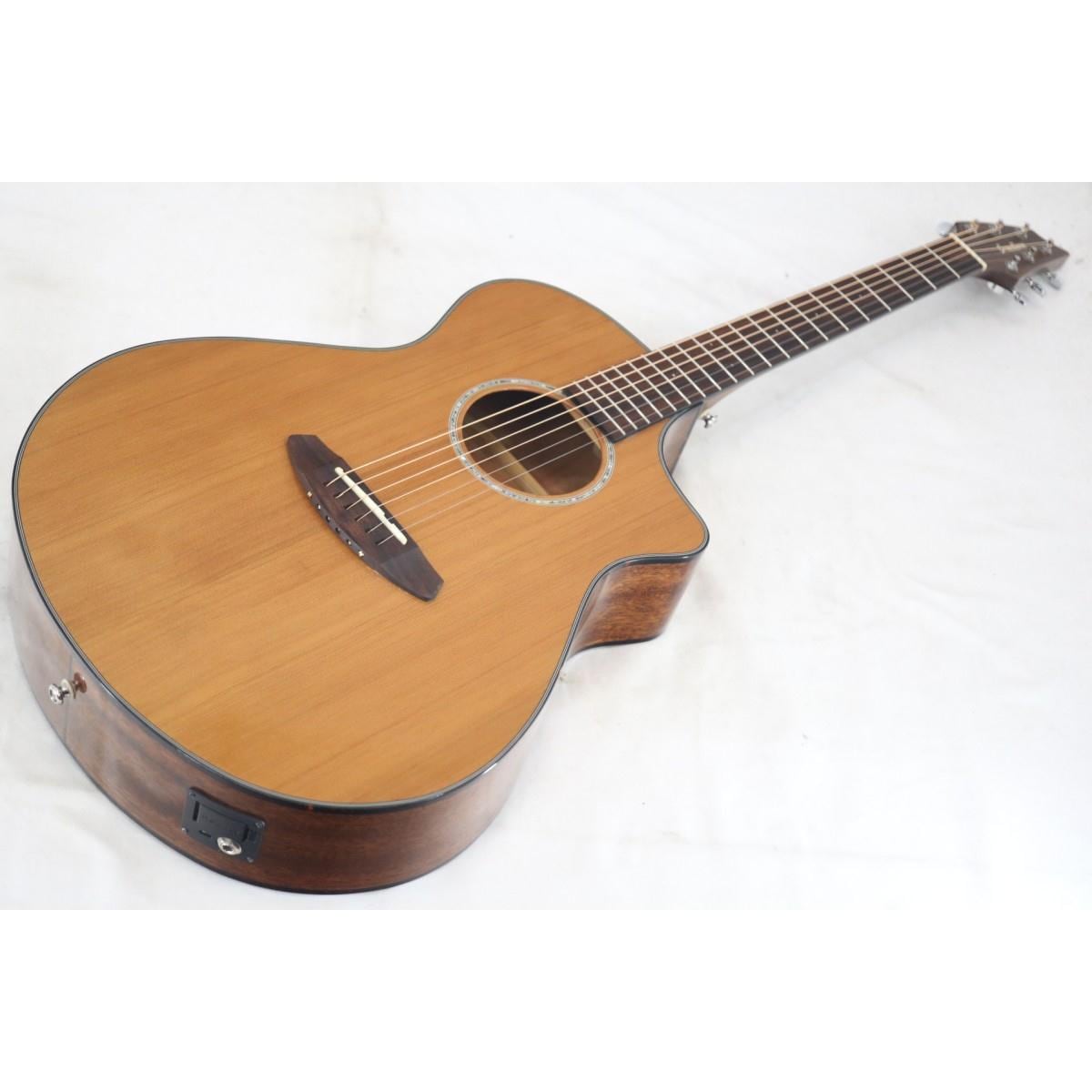 ＢＲＥＥＤＬＯＶＥ　ＰＵＲＳＵＩＴ　Ｃ３１ＣＥ