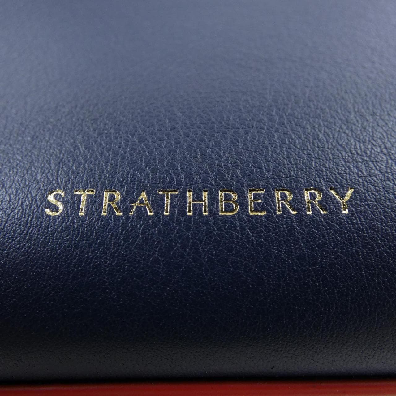 STRATHBERRY BAG