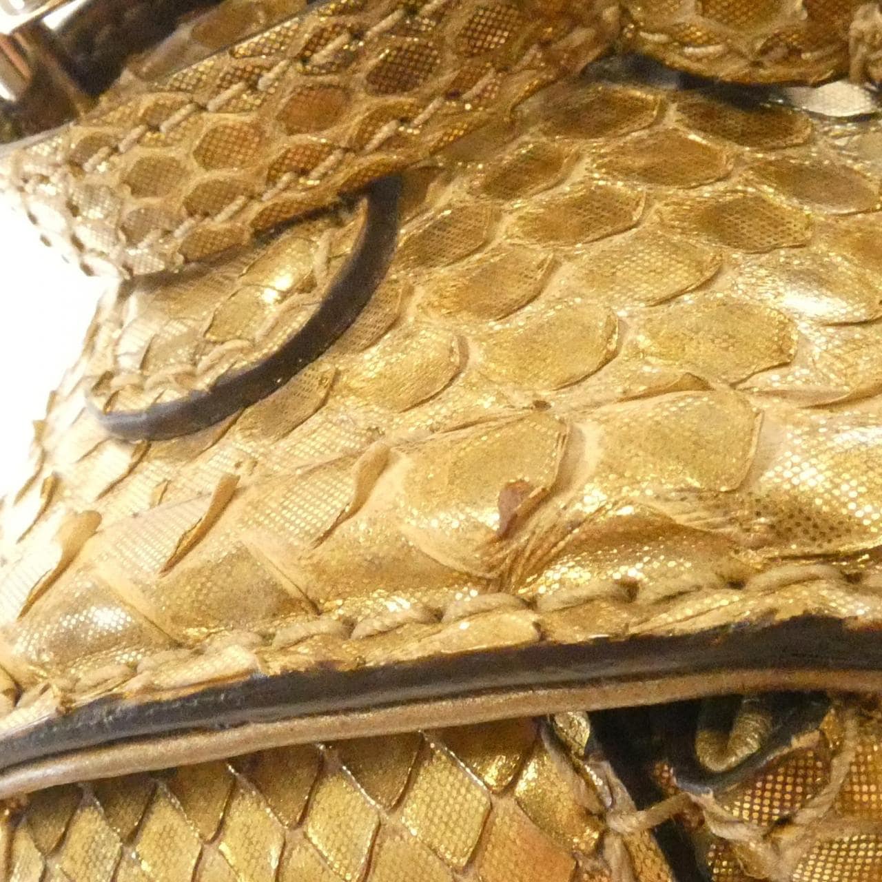 グッチ 254884 バッグ