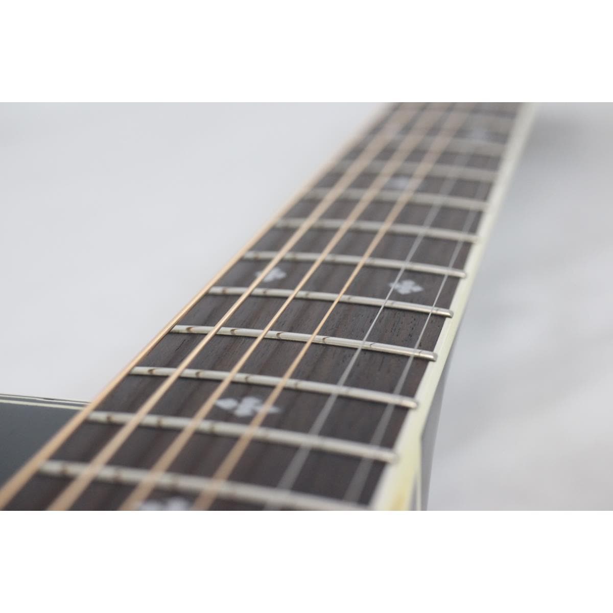 TAKAMINE NPT-110