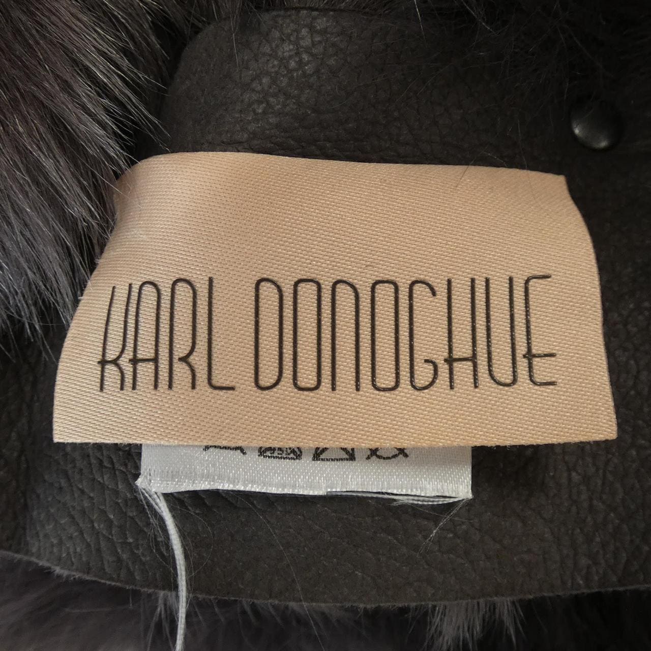 KARL DONOGHUE彩色