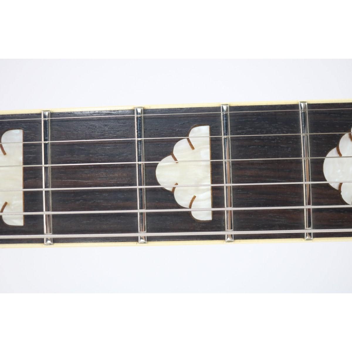 ＦＥＲＮＡＮＤＥＳ　ＭＧ－７０Ｘ