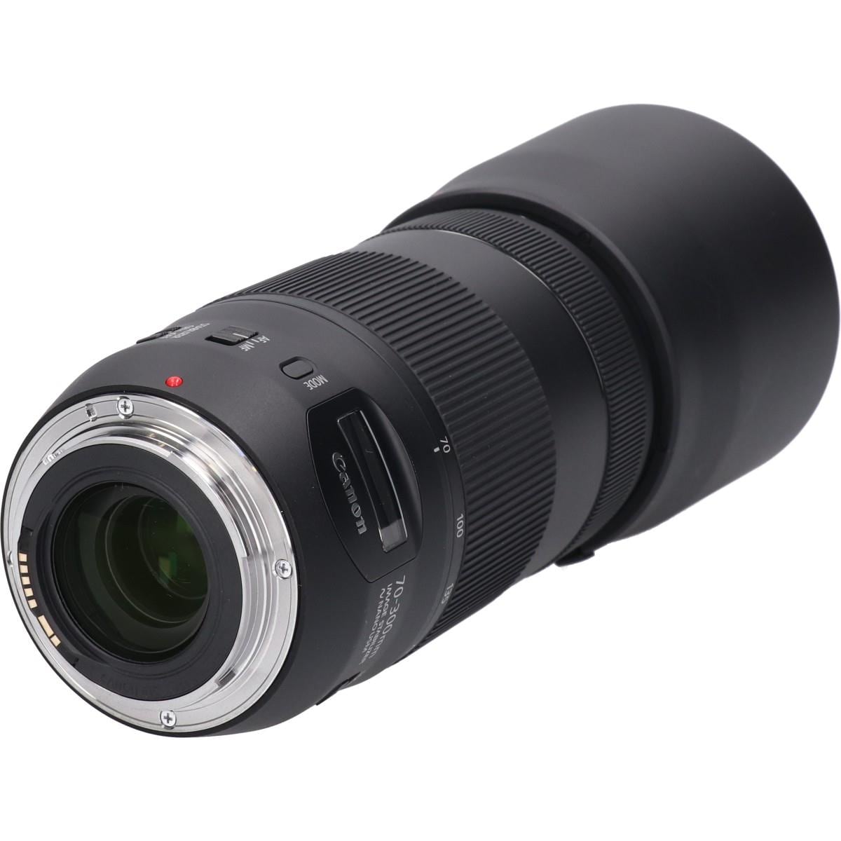 ＥＦ７０－３００ｍｍ　Ｆ４－５．６ＩＳ　ＩＩ　ＵＳＭ