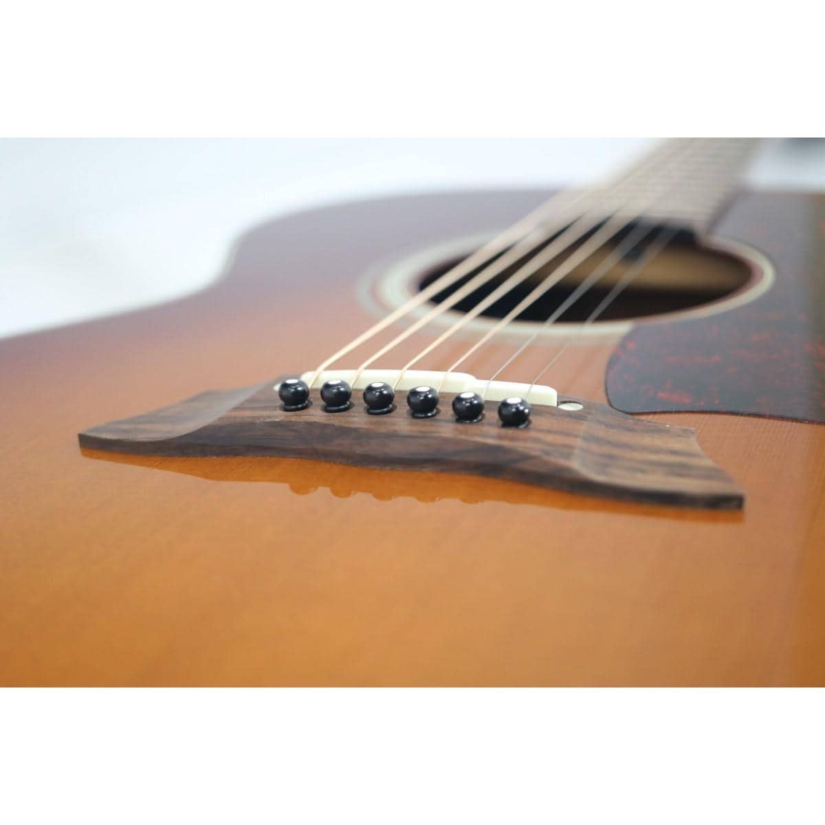 ＴＡＫＡＭＩＮＥ　　ＰＴＵ－００８