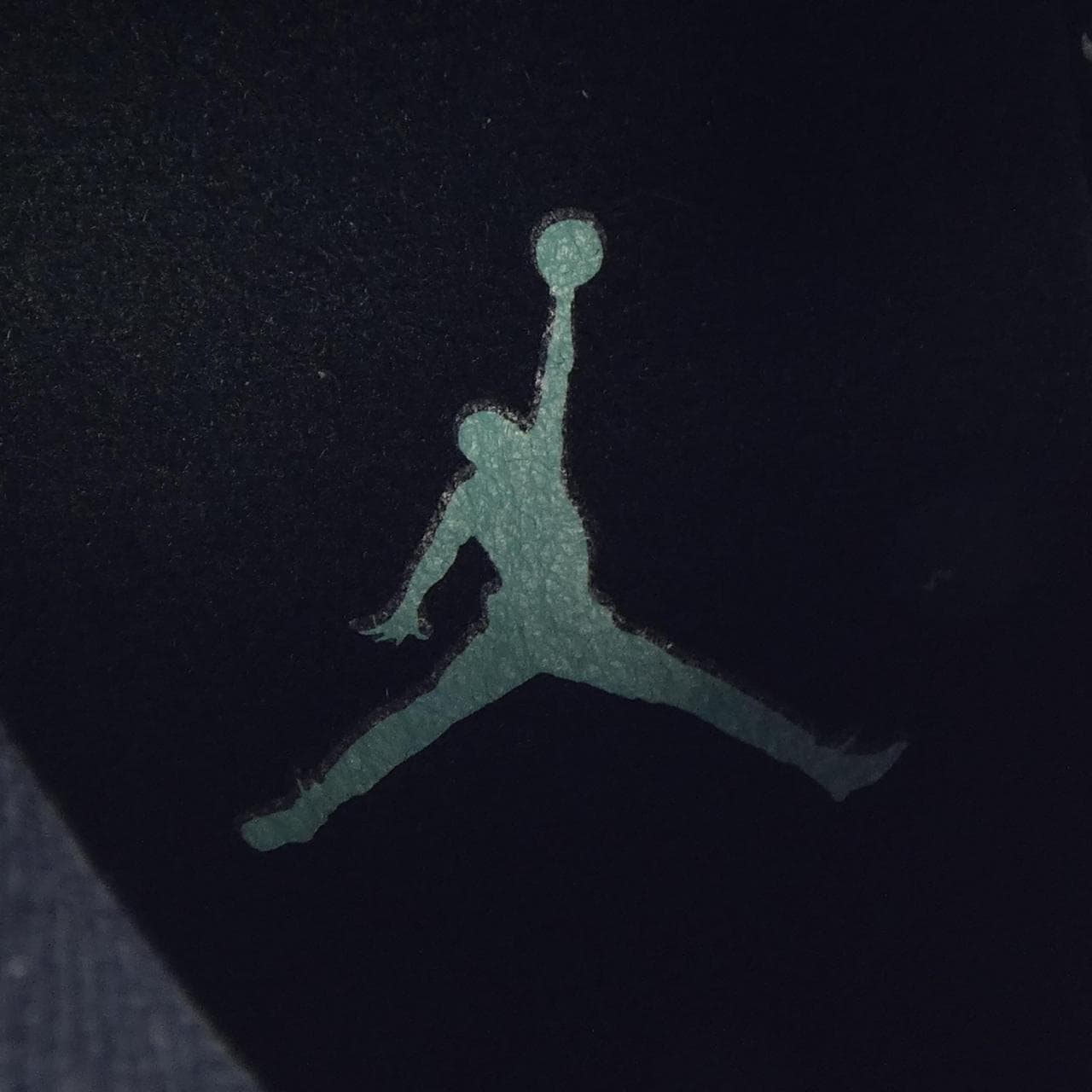 ナイキ ジョーダン NIKE JORDAN CK3022-301 スニーカー