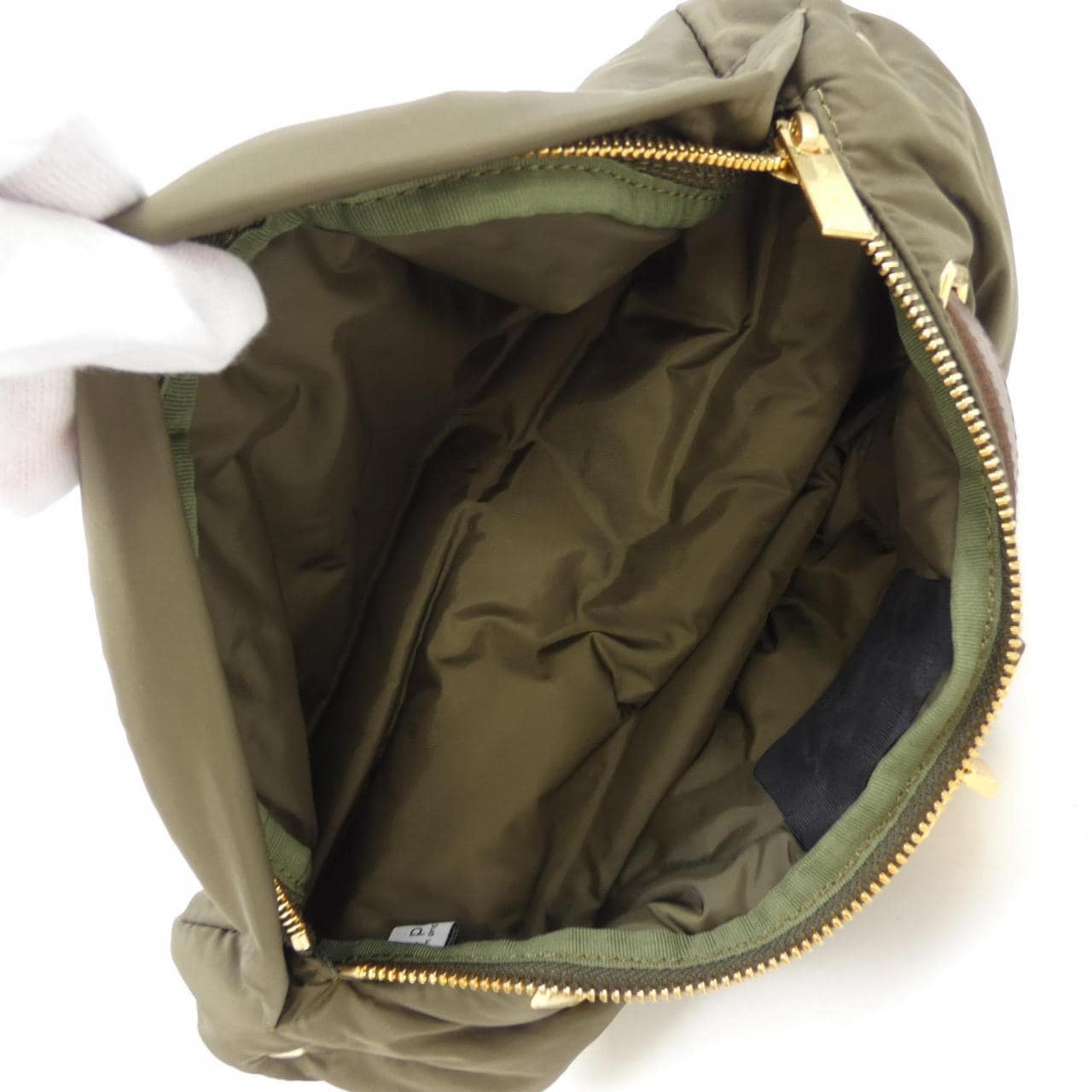 シータパランティカ sita parantica BAG