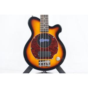 ＰＩＧＮＯＳＥ　ＰＧＢ－２００