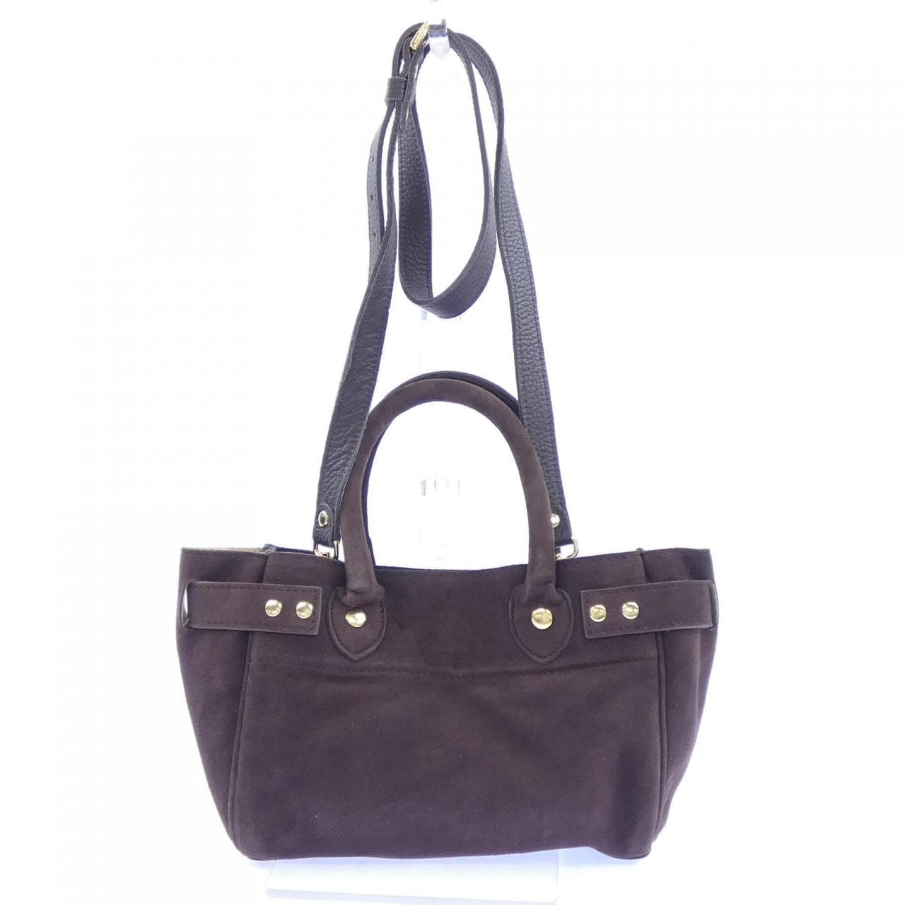 シータパランティカ sita parantica BAG