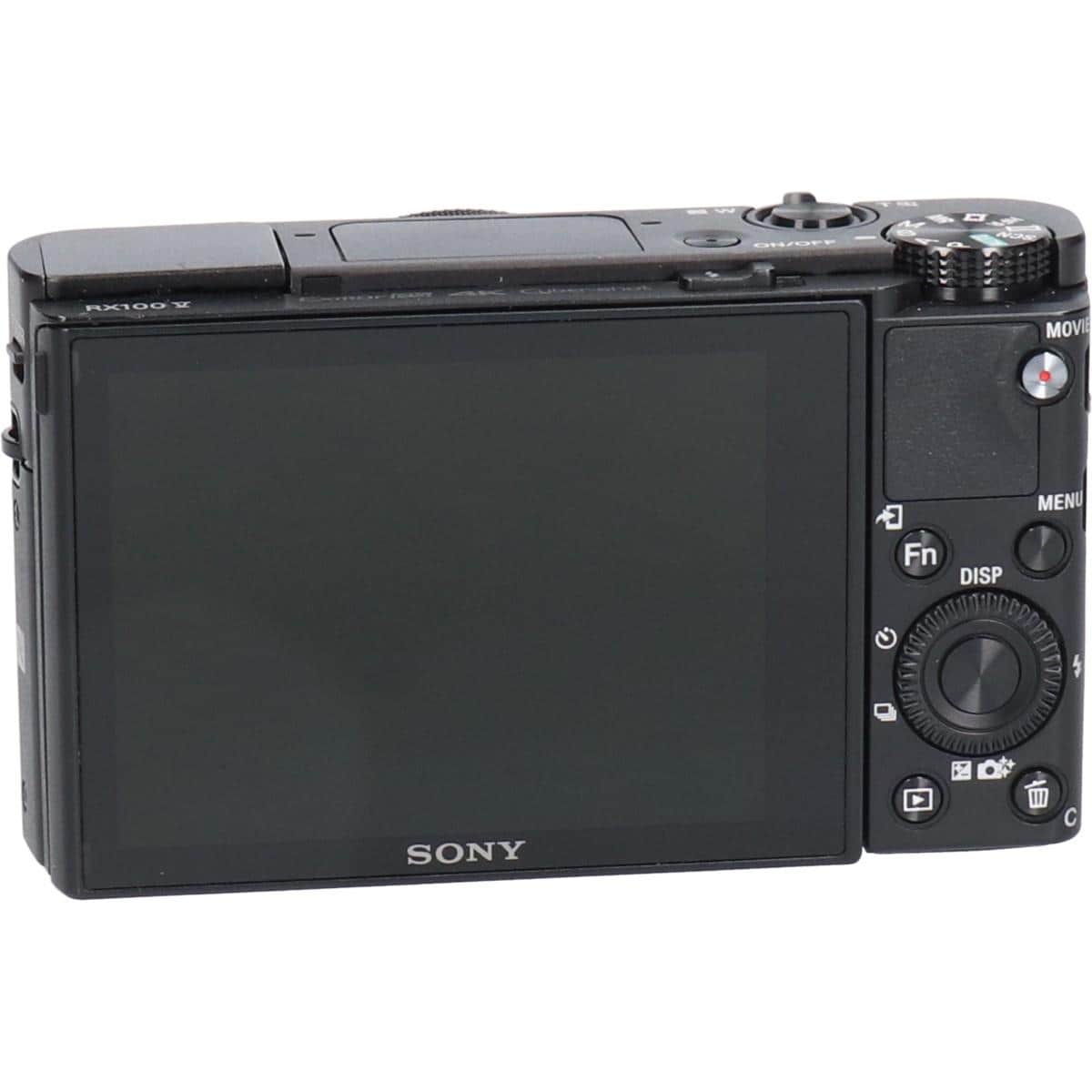 ＤＳＣ－ＲＸ１００Ｍ５