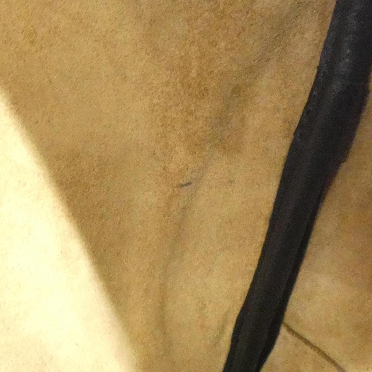 ロエベ アマソナ 28cm A039N08X01 バッグ