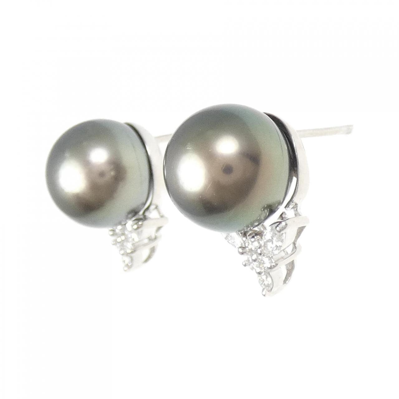 PT900 黒蝶パール ピアス 11.6mm