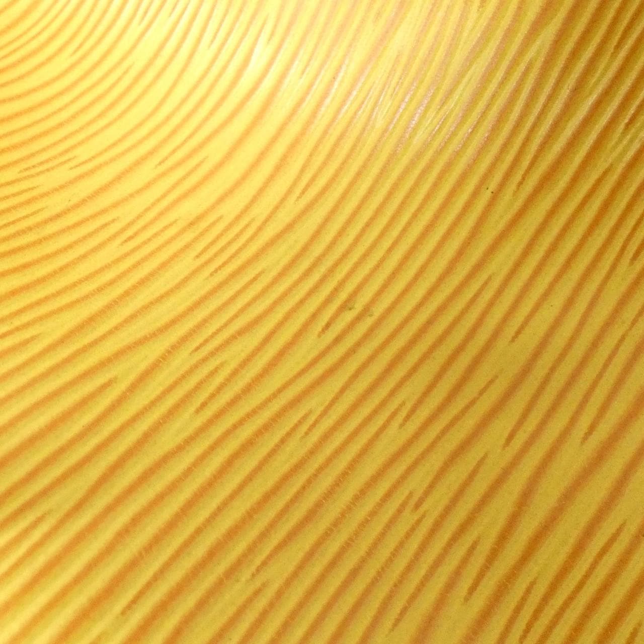 ルイヴィトン エピ プチ ノエ M44109 ショルダーバッグ