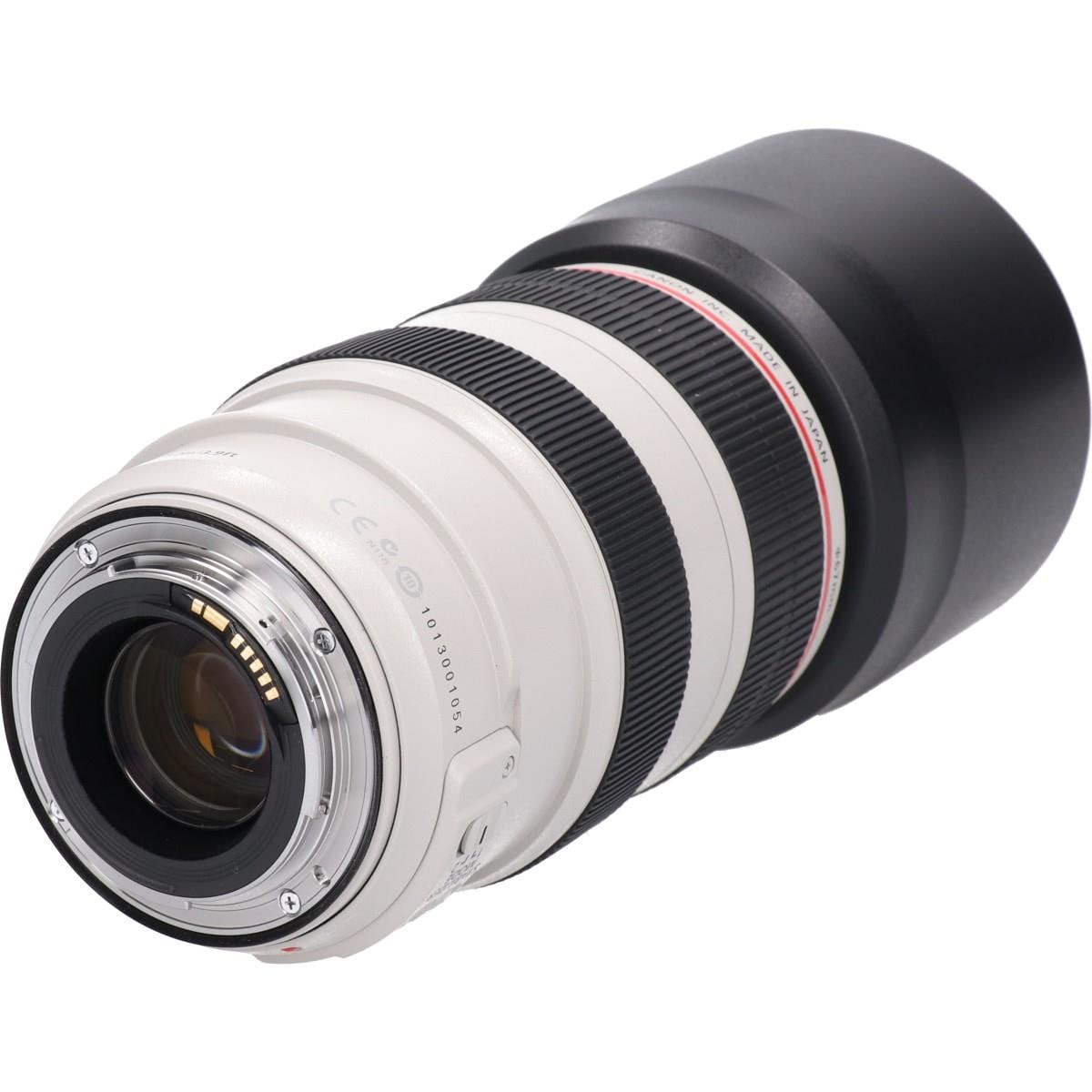 EF70-300mm F4-5.6L IS USM