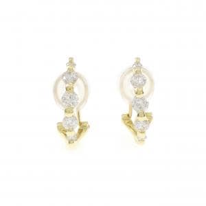 Diamond earrings/earrings