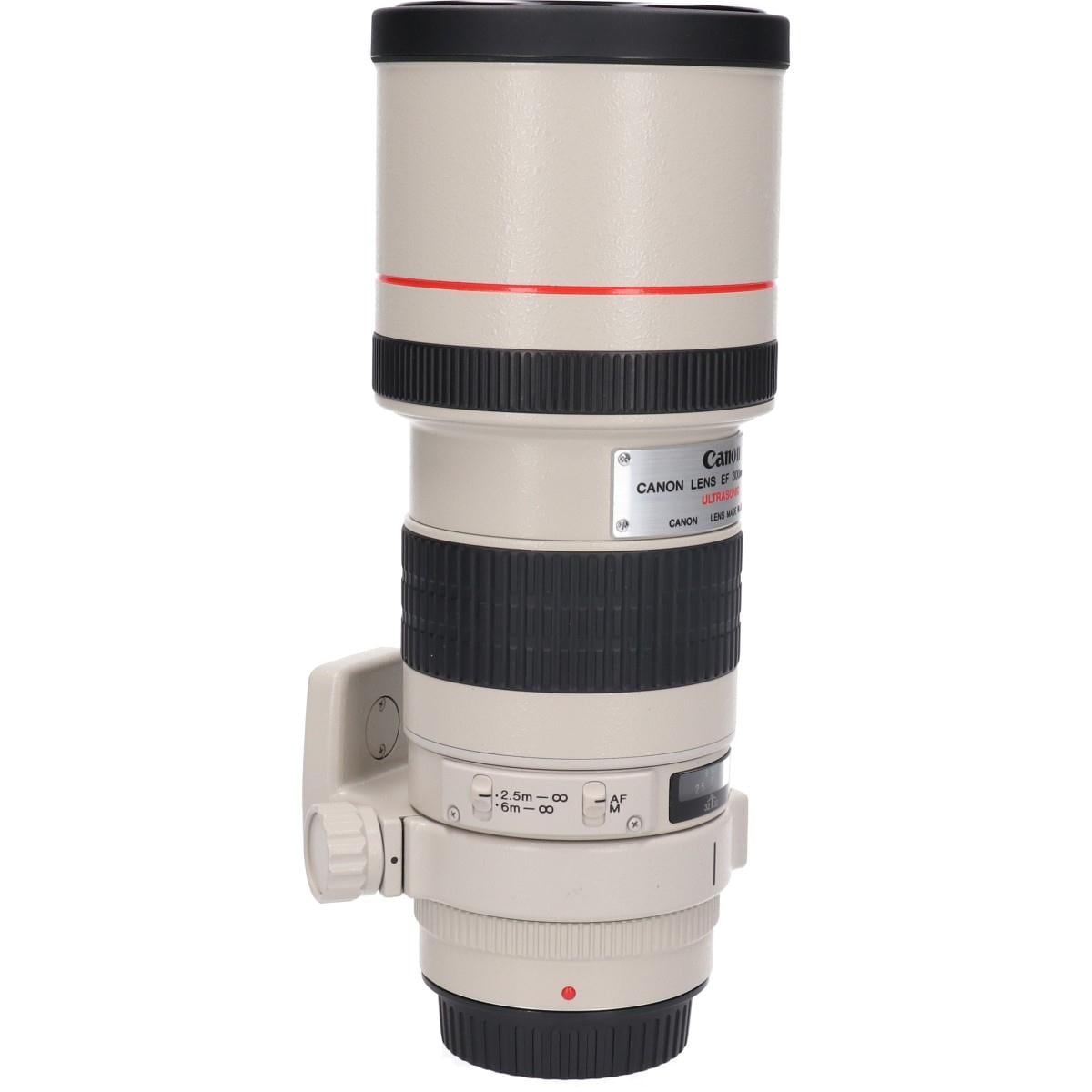 ＥＦ３００ｍｍ　Ｆ４Ｌ　ＵＳＭ