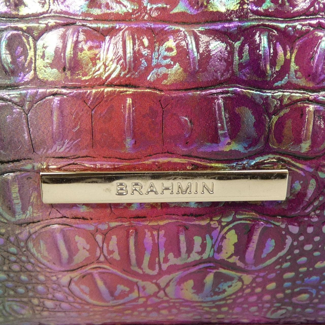 Brahmin Bag