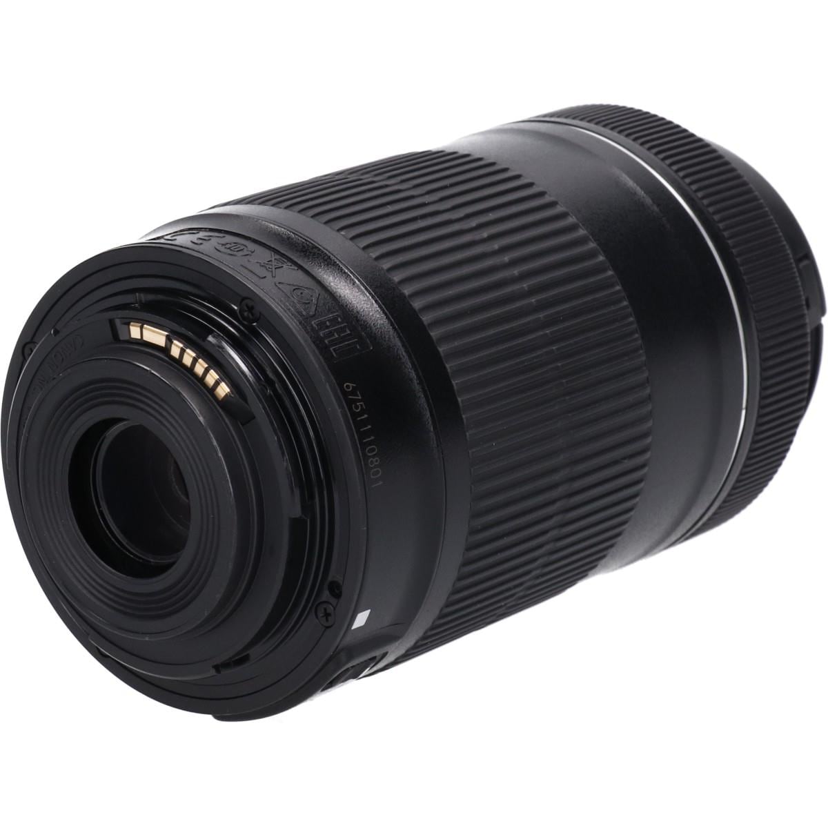 EF-S55-250mm F4-5.6IS STM