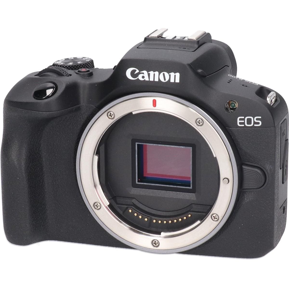 ＥＯＳ　Ｒ１００