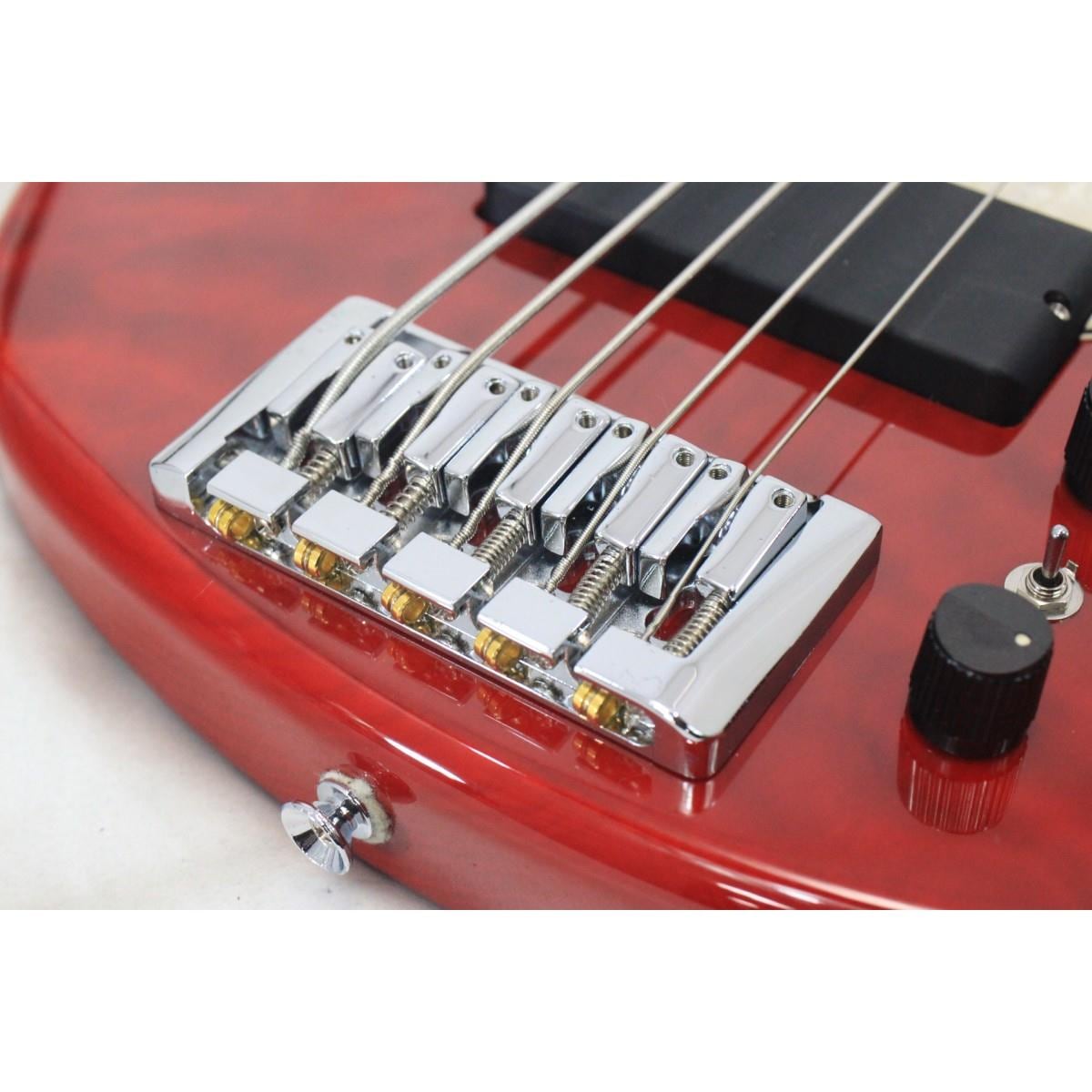 ＧＲＡＳＳ　ＲＯＯＴＳ　Ｇ－Ｔ－８０ＢＤ