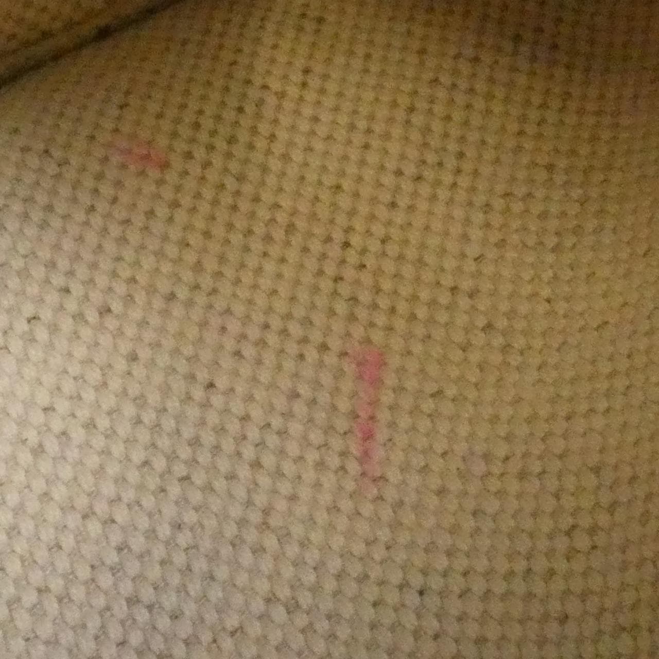 グッチ OPHIDIA 631685 2KQGG バッグ