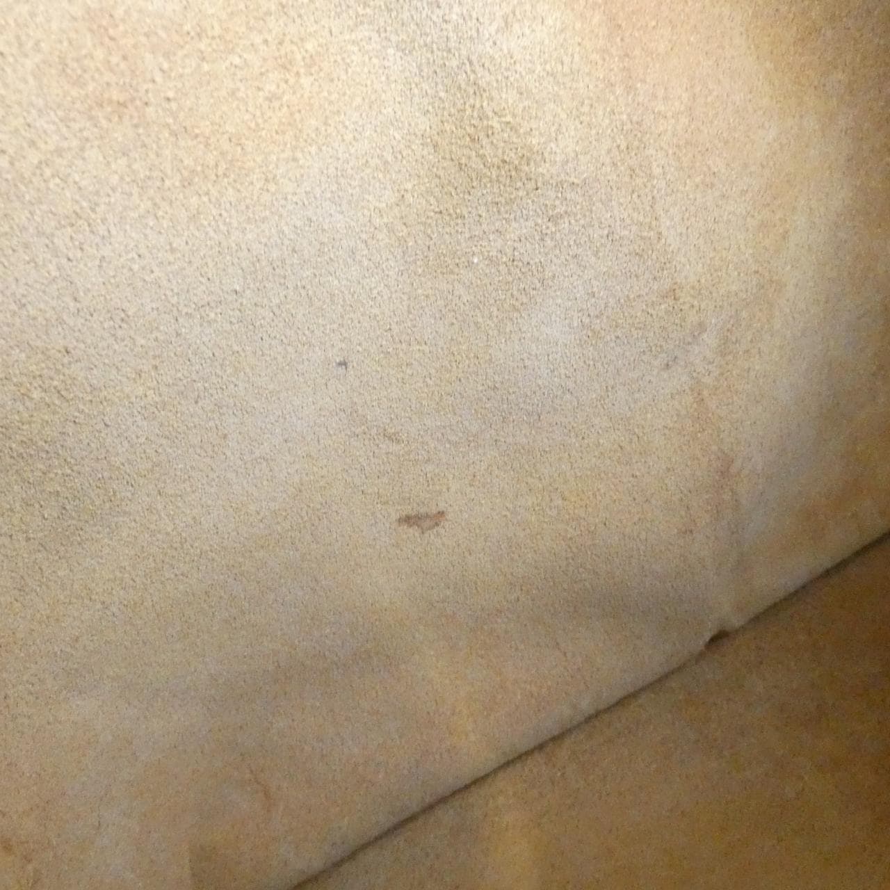 コーチ 54536 バッグ