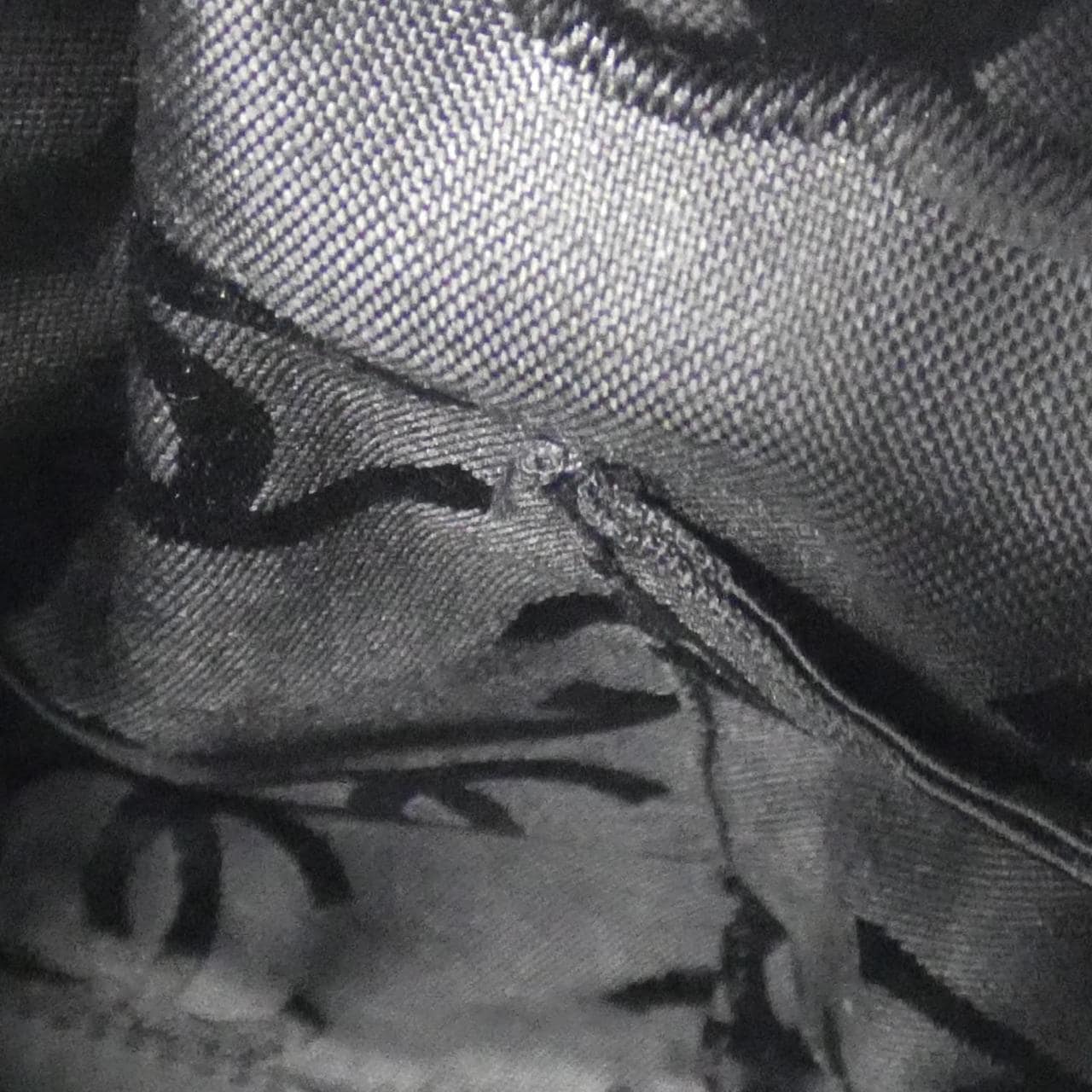 シャネル 25659 ショルダーバッグ