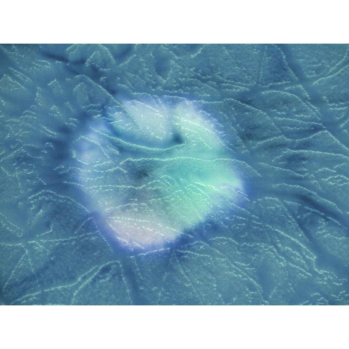 【未使用品】小紋　身幅２Ｌ寸