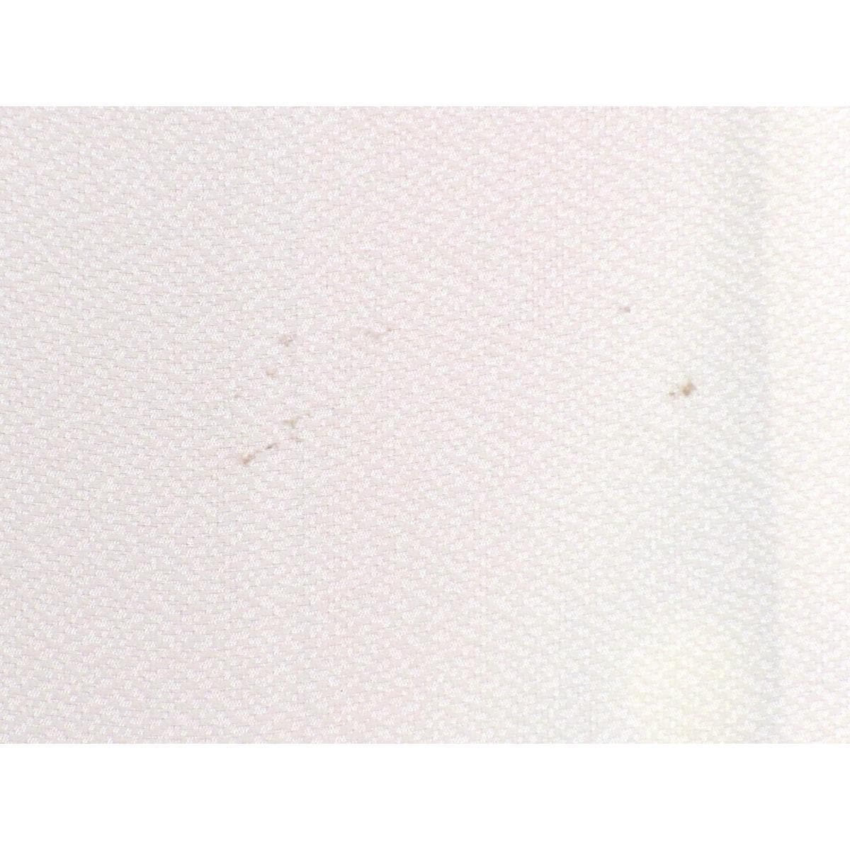 振袖　友禅金彩加工　刺繍入りボカシ染　身丈Ｓ寸