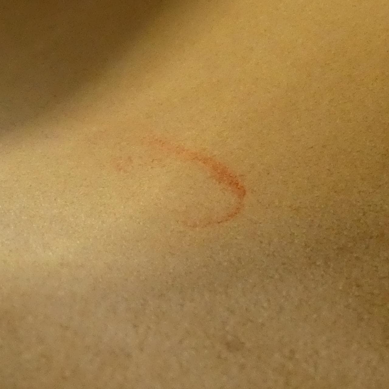 ルイヴィトン ダミエ アズール イーヴォラ MM N41133 ショルダーバッグ