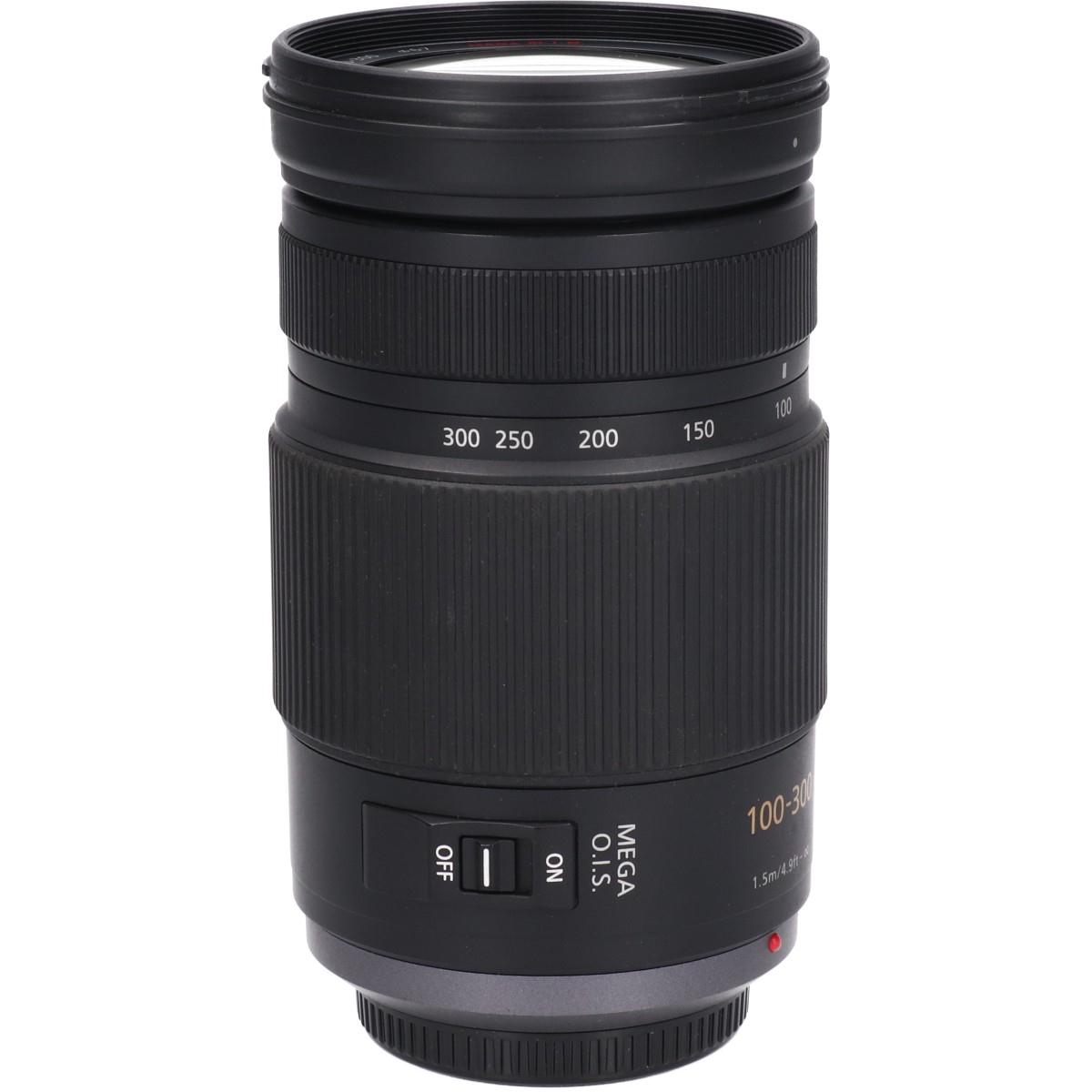 G100-300mm F4-5.6MEG OIS