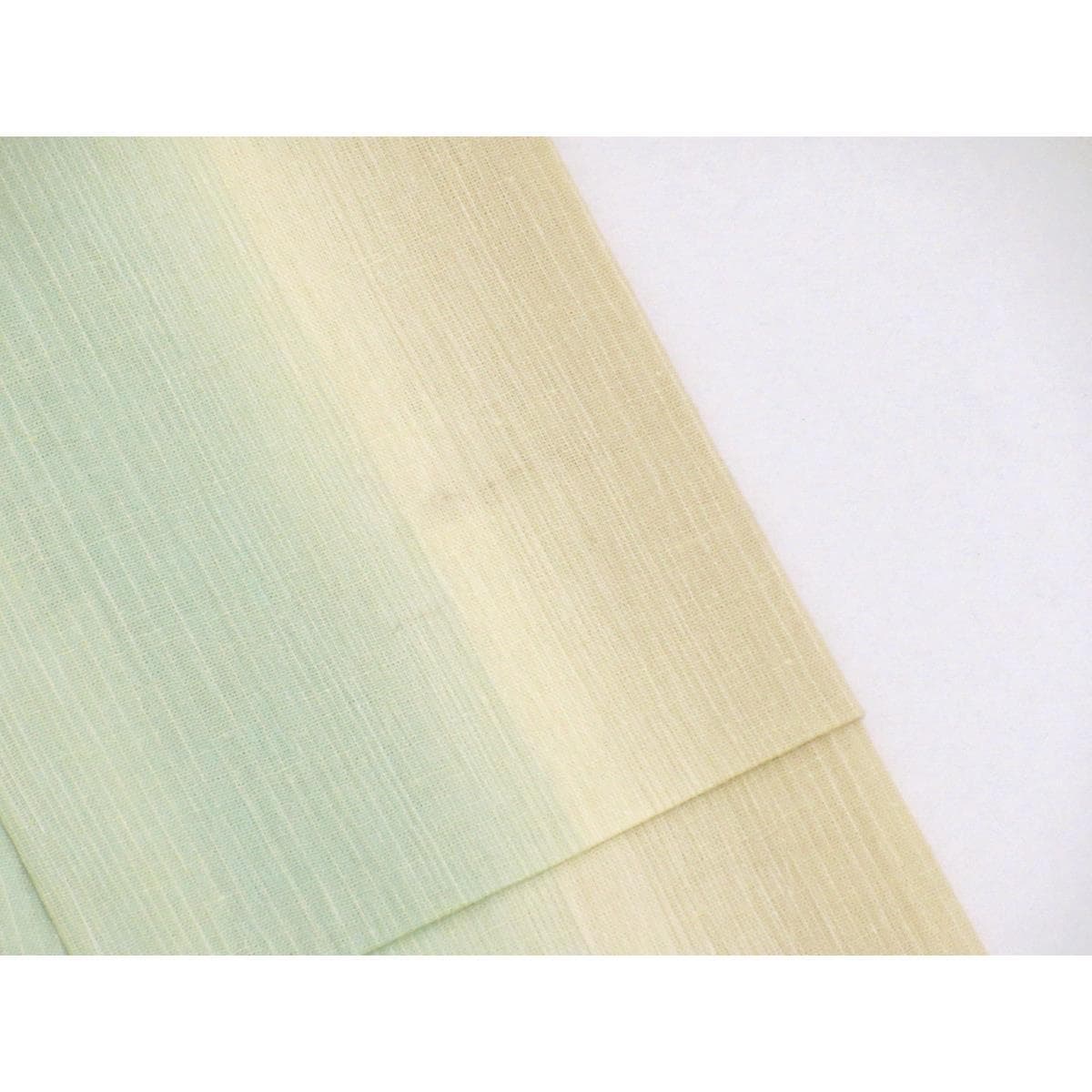 【未使用品】単衣　近江ちぢみ