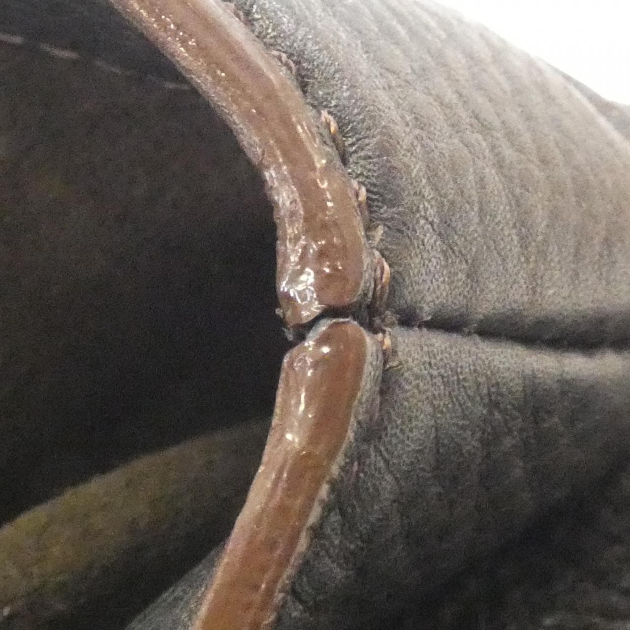 ルイヴィトン マヒナ シールス PM M93465 バッグ