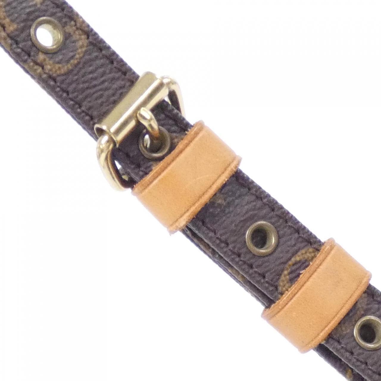 LOUIS VUITTON Monogram Amazon M45236 单肩包