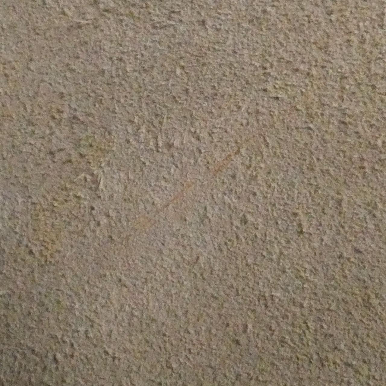 セリーヌ スモール ビッグバッグ 189313A4U バッグ