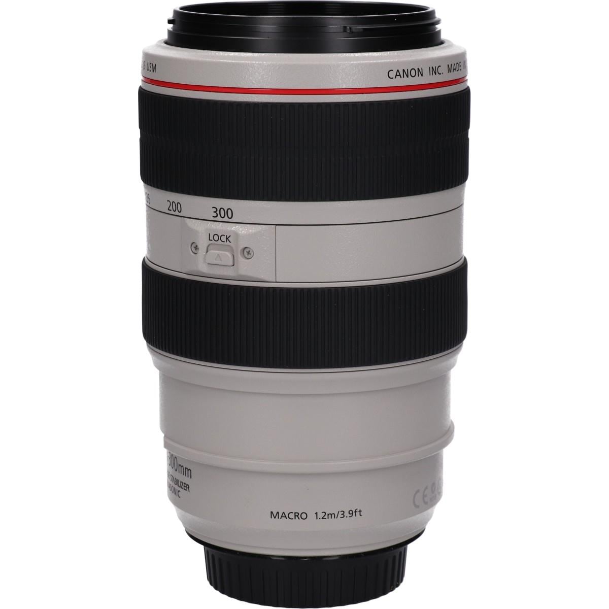 EF70-300mm F4-5.6L IS USM