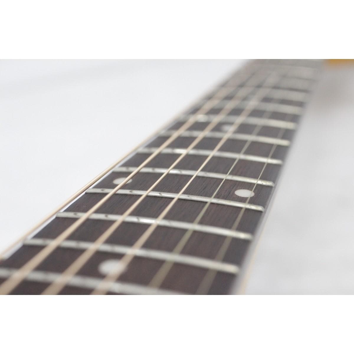 ＦＥＮＤＥＲ　　ＳＯＮＯＲＡＮ　ＳＣＥ