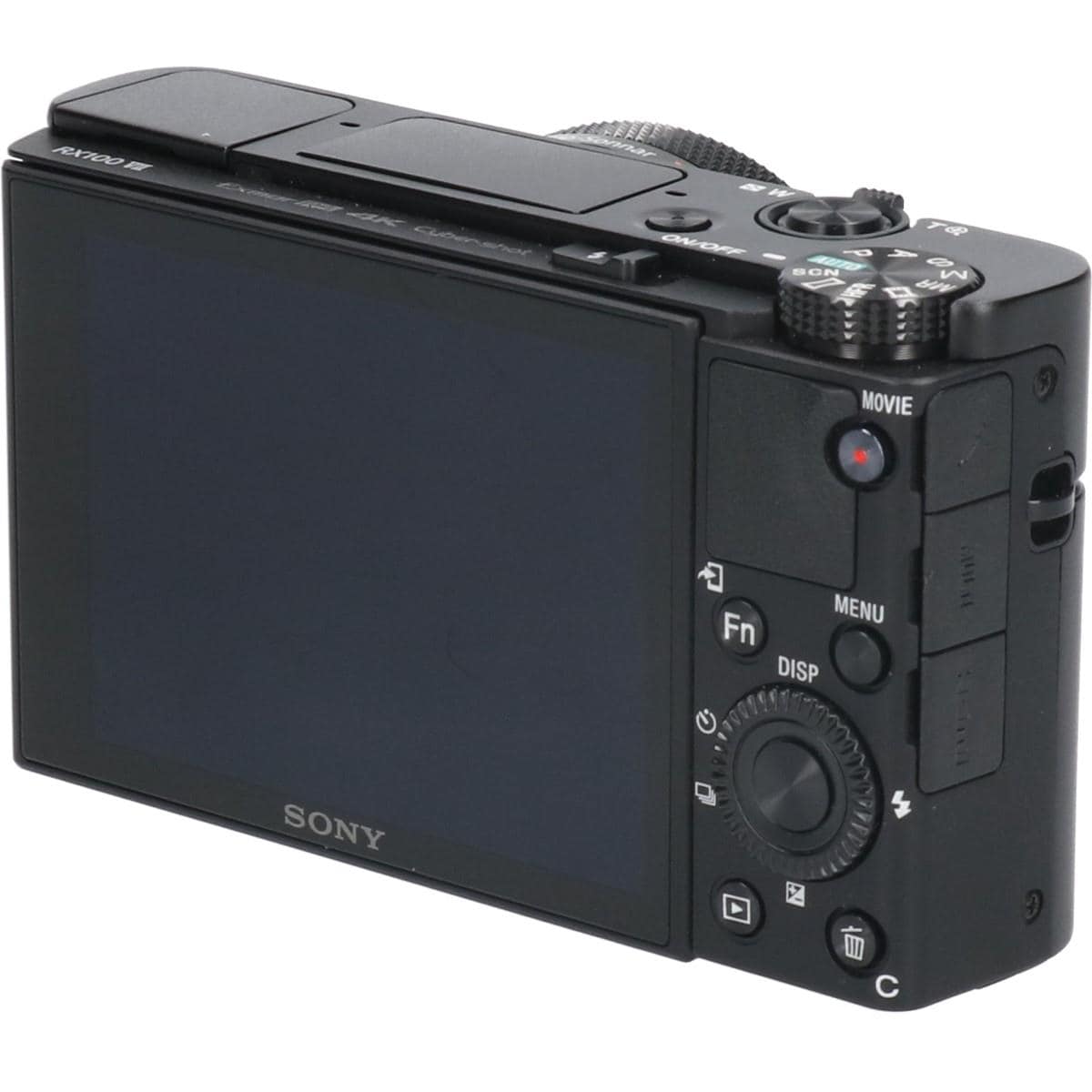 ＤＳＣ－ＲＸ１００Ｍ７