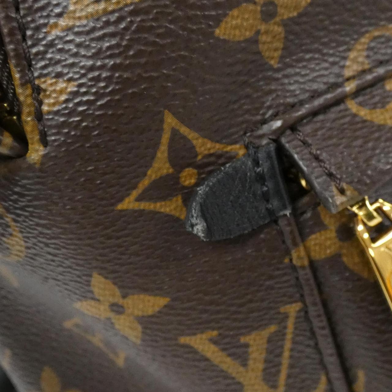 LOUIS VUITTON Monogram Palm Springs Backpack MM M44874 Rucksack