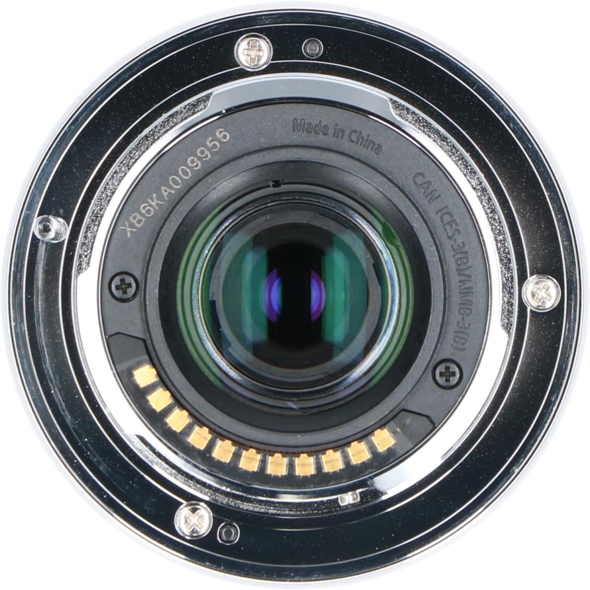 PANASONIC G35-100/4-5.6ASPH.MEGA OIS(H-FS35100)