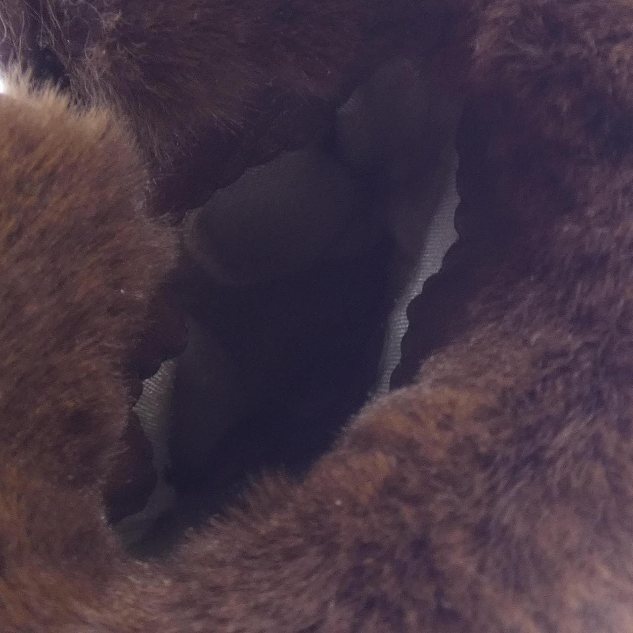 エルメス HERMES GLOVE