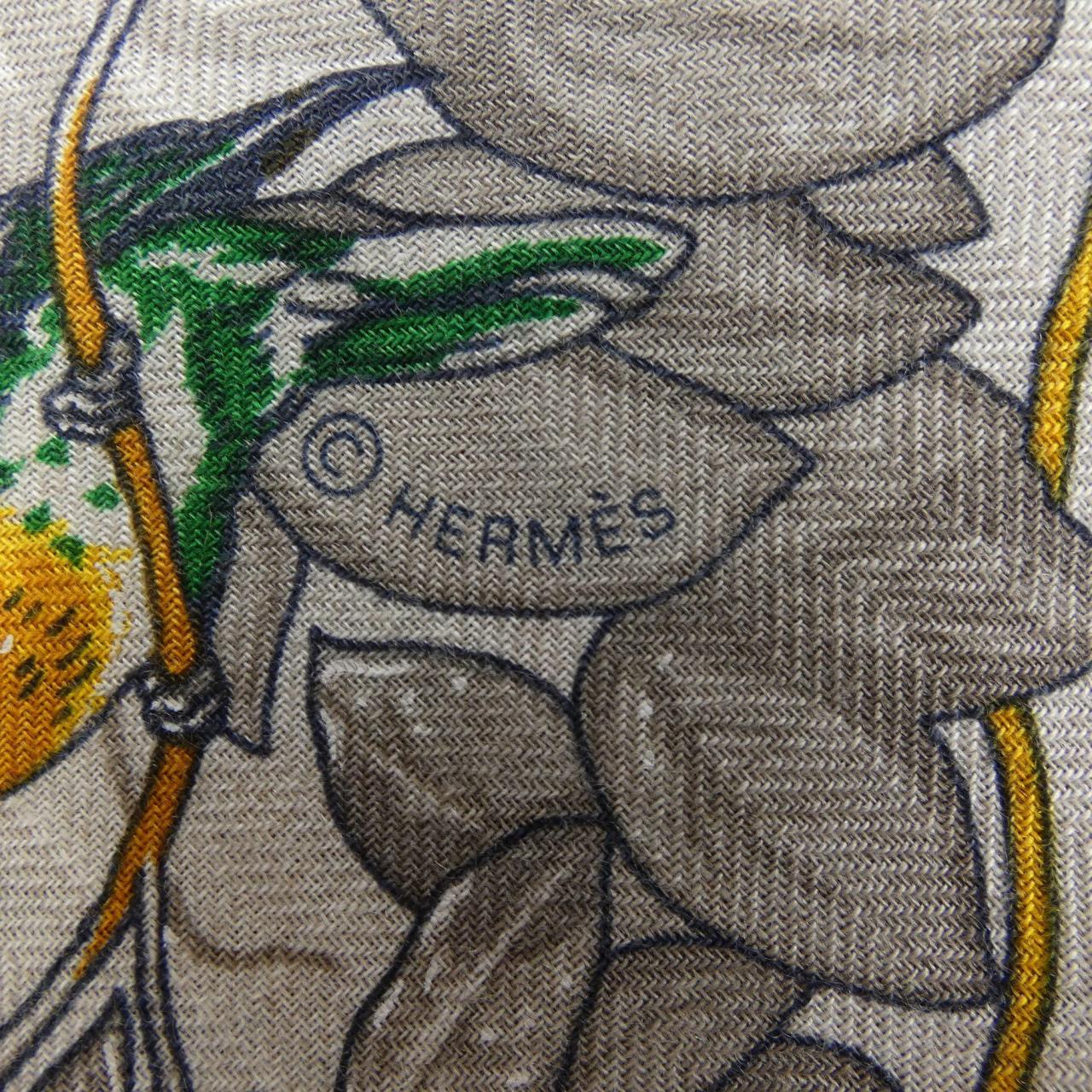 HERMES HERMES Shawls