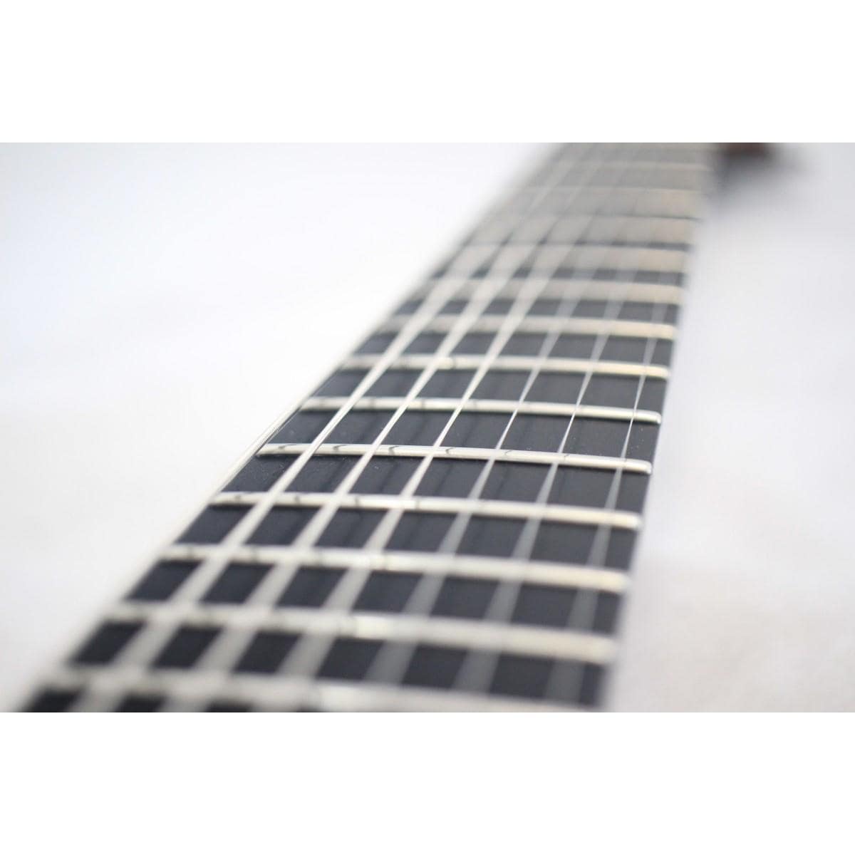 ＭＡＹＯＮＥＳ　ＳＥＴＩＵＳ　ＧＯＴＨＩＣ　７