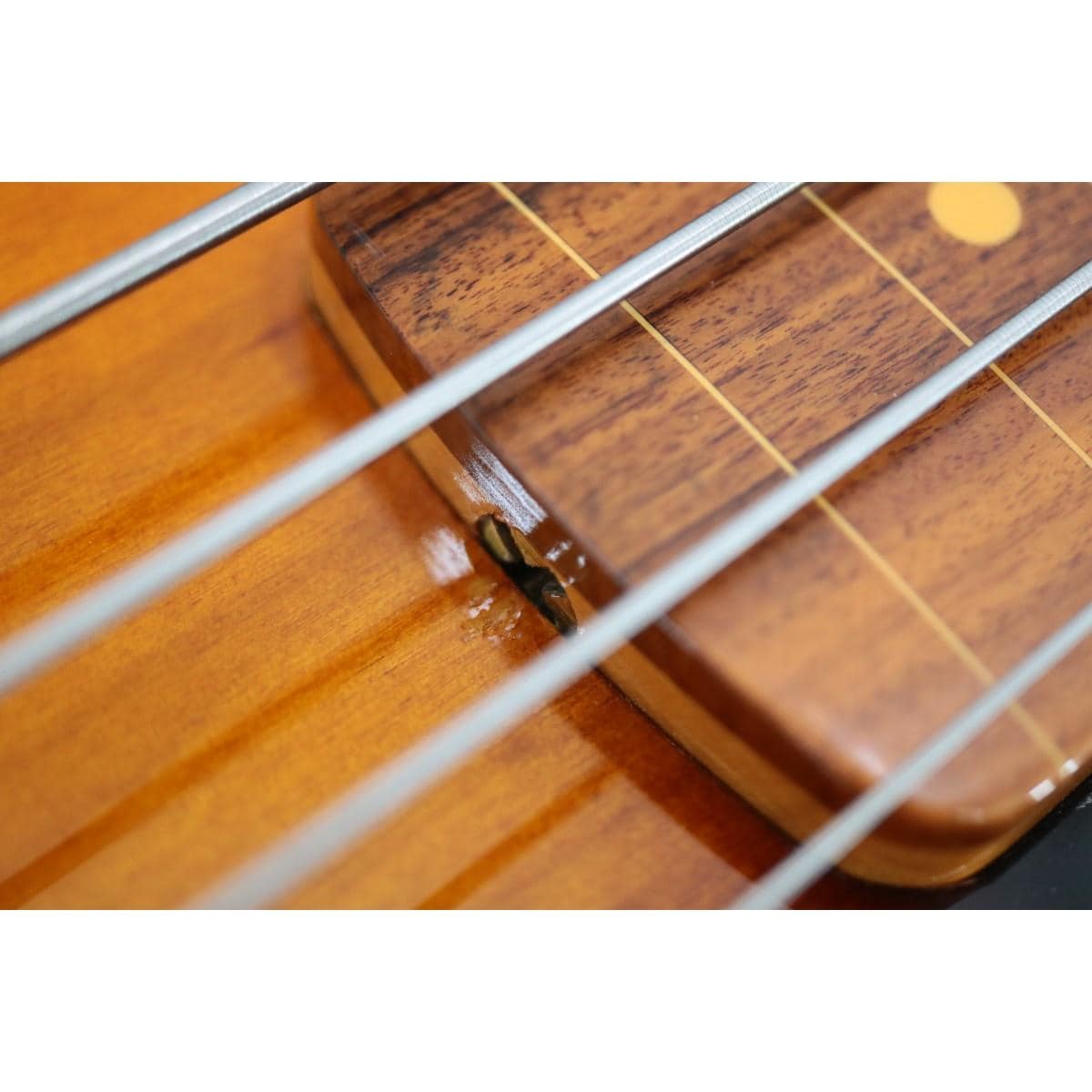 ＦＥＮＤＥＲ　　ＪＡＣＯ　ＰＡＳＴＯＲＩＵＳ　ＪＢ　ＦＬ