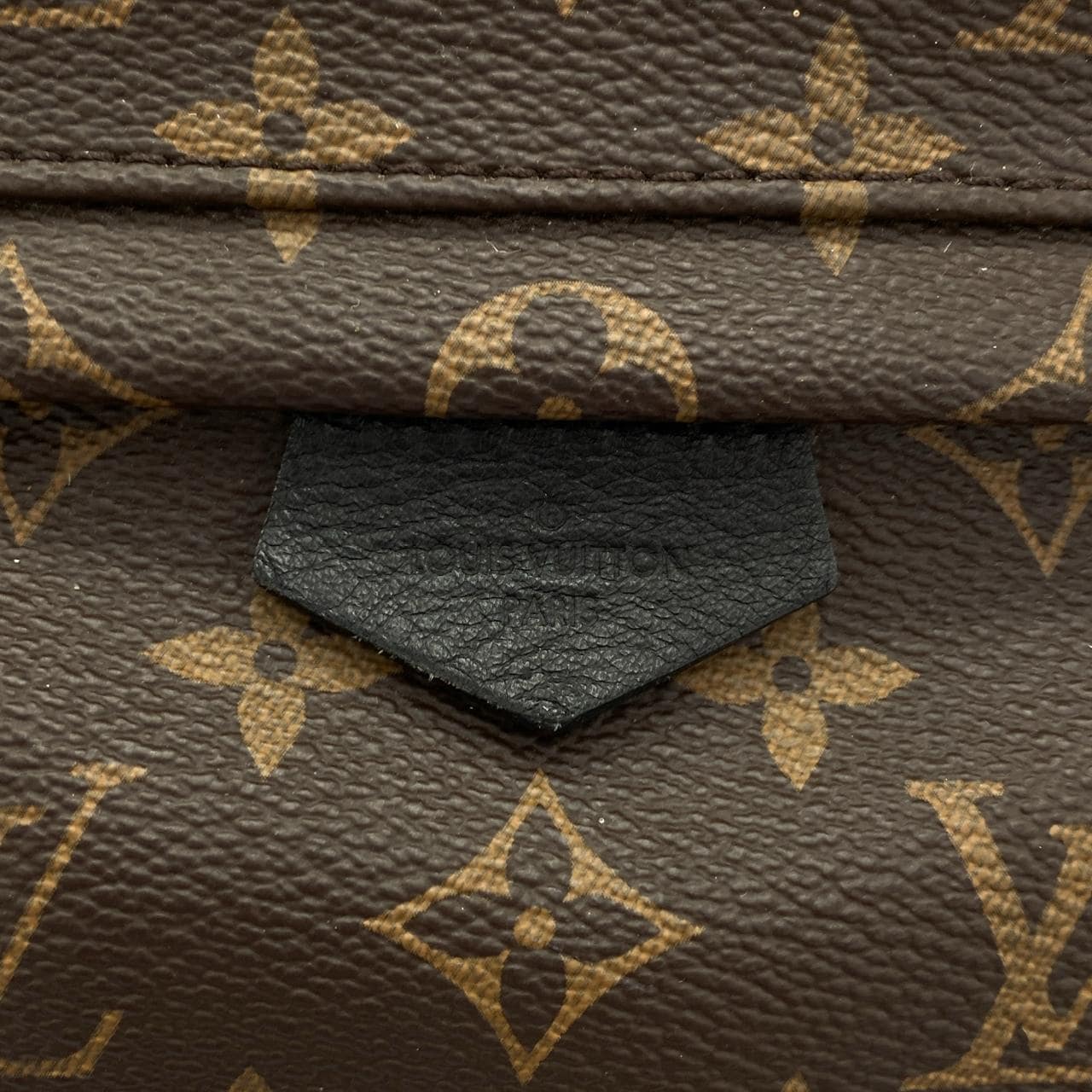 LOUIS VUITTON Monogram Palm Springs 背包 PM M44871双肩包