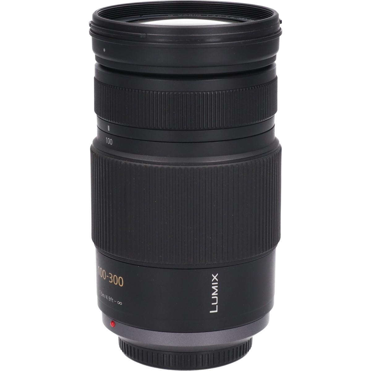 G100-300mm F4-5.6MEG OIS
