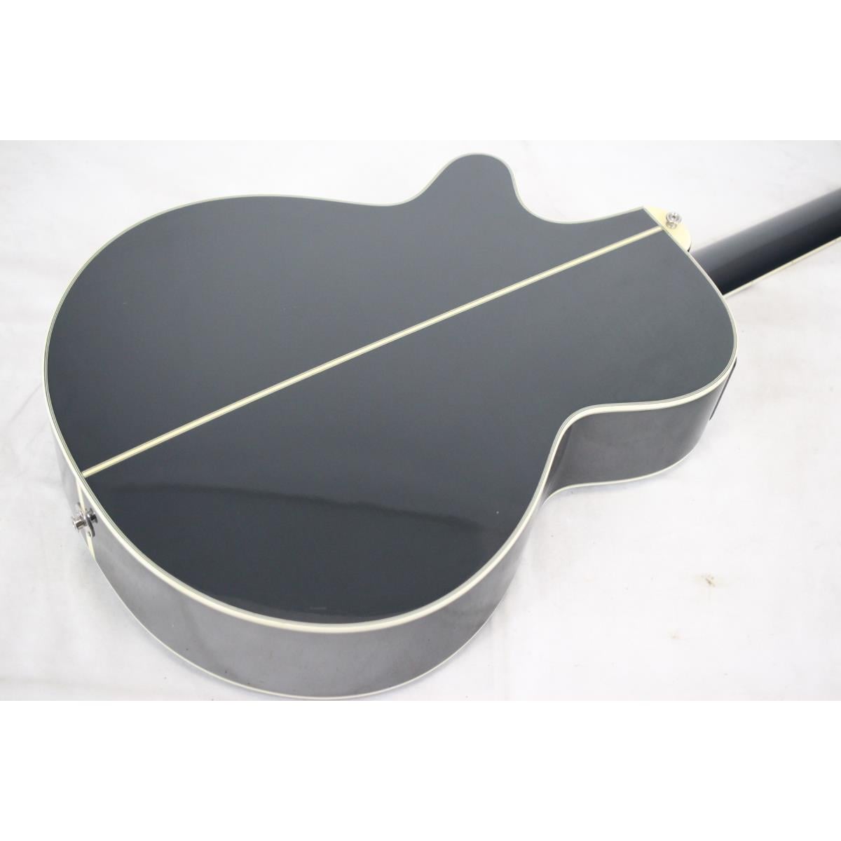 TAKAMINE NPT-110