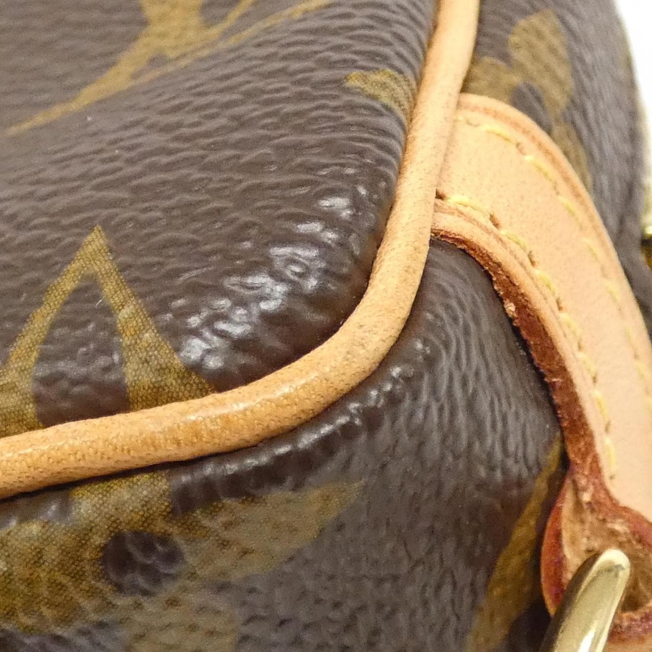 LOUIS VUITTON Monogram Wapiti M58030 Pouch